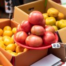 영신청과 이미지