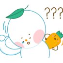 수지세탁 이미지