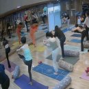 보고또보고 | 대충 보고 또 보고, 대충 듣고 또 듣고, 문화적 과식증 &amp; 25/11/10 요가, 필라테스 수업