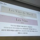 김만진 | Les Vins 레벵_로쉐마제대학생서포터즈5기 발대식 후기🍷