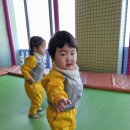 한양 태권도장 이미지