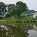 새말낚시터 이미지