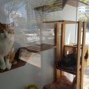 이끌림동물병원 이미지