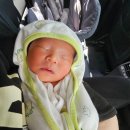 시엘 산후조리원 이미지