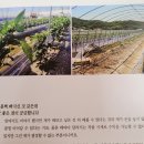 마니농장 이미지