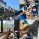 호반펜션 | 부산근교 울산 애견동반 호반펜션 가성비 숙소 여름여행