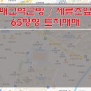 [수원토지매매] 매교역 토지매매 / 세류초등학교앞 토지매매 / 65평형 토지매매 / 아파트단지앞 토지매매 이미지