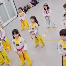 골드스마트 태권도장 이미지