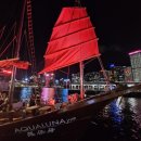 하버크루즈 이미지