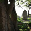 양성 석조여래입상 이미지