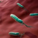 해오름 약국 이미지