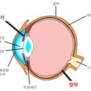 The Great Gatsby 읽기 15 - 27:1 ~ 28:5 이미지