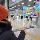 2026 새해 겨울바다 KTX왕복+ 정동진 +겨울 바다길 트레킹+자유여행 (2026,1,17)토요일 이미지