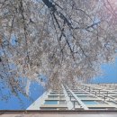 우미카톡부동산공인중개사사무소 이미지