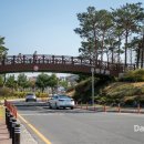 유림-1012 이미지