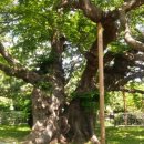 수영사적공원 이미지