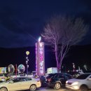 단양마늘도나쓰 - 11186 | 단양마늘도나쓰