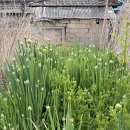 연천읍-8 이미지