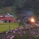 장항가든 이미지