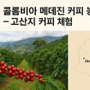 세계로관광농원 Daum카페