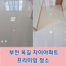 부천옥길자이 | 부천 옥길 자이 아파트 인테리어 입주청소 프리미엄 진행