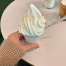 트리트멍멍 이미지