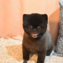 구르미살롱 이미지