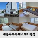 배롱나무독채스테이