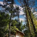 초막농장 | 경북 언택트 여행지 농촌 체험(청송 농가맛집 두연, 영양 다들바위 치유농장)