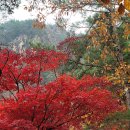 옥계해변관광지 이미지