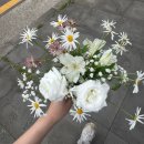 아디다스하양점 | [결혼준비EP.03] 제주도 우도 셀프 웨딩스냅 후기 ♥