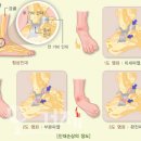 생기나라한의원 이미지