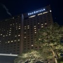 (주)호텔금오산사우나 | 서울 신라호텔 디럭스 남산뷰 수영장 사우나 호캉스 후기