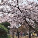 가마솥 오리 이미지