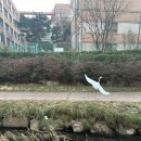대전버스(주) | 서울고속터미널에서 대전까지 우등버스 타고 당일치기 뚜벅이 여행 후기