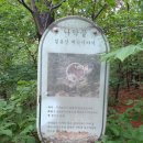 나막골약수터 이미지