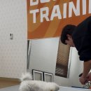 보듬이유치원 이미지