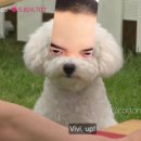 예