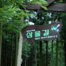 절물자연휴양림 이미지