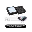 코끼리세탁 이미지