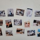 보니타커피 네이버블로그