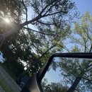 참새둥지야영장 이미지