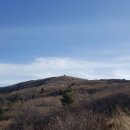 행복추어탕 이미지