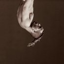 텐타시온(TENTACION)