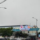 대천항수산시장 | 대천항 갑오징어 5월 시세 수산시장 방문 후기