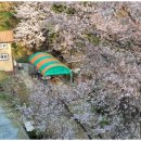 동해황토민박펜션 이미지