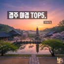 월성별빛달빛 | 경주 야경 이렇게 예뻤어? 2025 최신 핫플 코스 공개