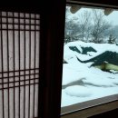 평화황토 이미지