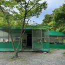 국수랑막걸리 | 부산집 | 밀양 야외 애견동반 뷰 좋은 잔치국수 도토리묵 사과 막걸리 맛집 솔직후기