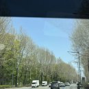 별빛마트 | 서울에서 1시간 포천 백운계곡캠핑장 별빛오토 타프존 후기 (재방문의사 100%!)